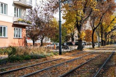 Varşova 'da sonbahar. Tramvay rayları renkli ağaçlar ve konut binalarıyla kaplı. Sonbahar atmosferli şehir manzarası