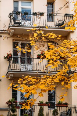 An elegant apartment balcony with potted plants, surrounded by vibrant yellow autumn leaves, evoking an urban fall atmosphere clipart