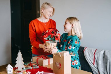 Noel 'de bir anne ve kız çocuğu, aile bağlarının ve bayram geleneklerinin önemini vurgulayarak, bir Noel bitkisi değiş tokuşunda sıcak bir anı paylaşıyor..