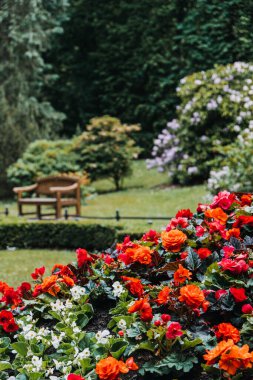 Parktaki bank canlı çiçekler ve yemyeşil çiçeklerle çevrili. Sürdürülebilir peyzaj, çevre dostu bahçeler, yerel bitkiler ve modern tasarımda biyolojik çeşitlilik