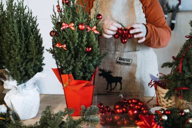 Süslü bir saksı Noel ağacının süslerini düzenleyen eller. DIY tatil sanatı projesi, festival atölyeleri ve sürdürülebilir Noel trendleri