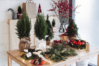 Tahta masada küçük Noel ağaçlarıyla süslü doğal dekorasyonlar. Çevre dostu tatil dekorları, DIY çelenkleri ve sürdürülebilir tasarım