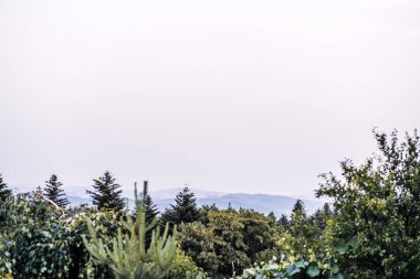 Yoğun yeşillik ve yuvarlanan tepelerin katmanlarının yer aldığı huzurlu, bulutlu bir gökyüzünün altında gözden kaybolduğu sakin bir kırsal alan.