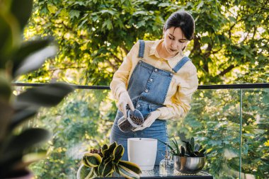 Eldivenli genç bir kadın cam bir masanın üzerine yılan bitkileri koymaya odaklanıyor. Özenli bahçecilik ve sürdürülebilir uygulamaları temsil eder