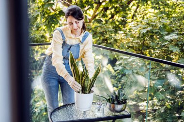 Bir kadın dikkatlice, yeşilliklerle çevrili güneşli bir balkona yılan bitkileri yerleştiriyor. Sürdürülebilir yaşam ve çevre bilinci olan bahçıvanlığı temsil eder
