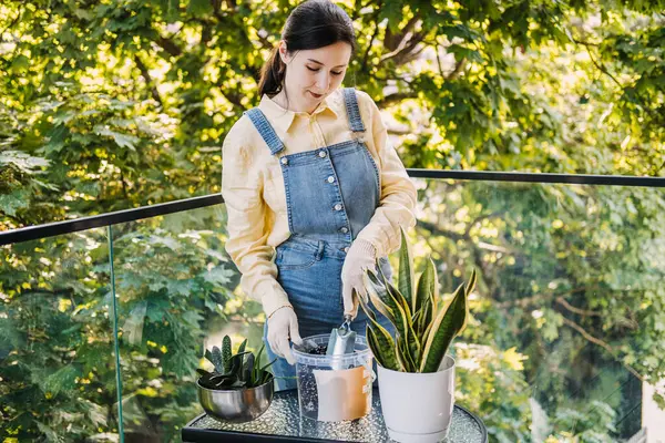 Genç Asyalı kadın yemyeşil ağaçlarla çevrili küçük bir balkonda bitkileri saksılamak için toprağı hazırlıyor. Dikkatli ritüeller, yeşil yaşam, bahçe işleri, sürdürülebilir alışkanlıklar. Yüksek kalite fotoğraf