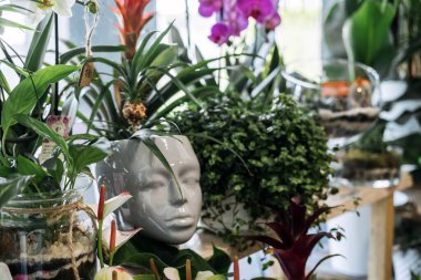 Modern ortamda heykeltraş şeklindeki yüz şeklindeki bitki örtüsünün etrafına yerleştirilmiş kapalı alan bitkileri ve tropikal yapraklar. Şehir ormanı, biyofilik tasarım, kapalı alanda yeşillik, çağdaş bitki tasarımı. Yüksek kalite fotoğraf