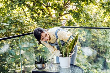 Güneşli bir apartmanın balkonunda saksı bitkilerini incelemek için eğilen genç bir kadın. Sürdürülebilir kentsel tarım, yeşil daire, evde büyümek, dikkatli rutinler. Yüksek kalite fotoğraf