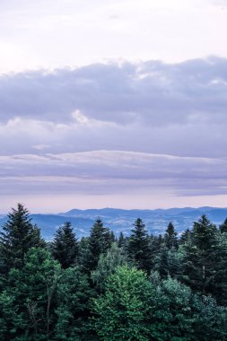 Alacakaranlıkta kasvetli bir gökyüzünün altında katmanlı tepeleri ve yoğun ormanı olan uzak dağ sıraları. Vahşi doğa koruma, orman ekosistemleri, doğal miras, uzak manzaralar..