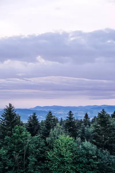 Alacakaranlıkta kasvetli bir gökyüzünün altında katmanlı tepeleri ve yoğun ormanı olan uzak dağ sıraları. Vahşi doğa koruma, orman ekosistemleri, doğal miras, uzak manzaralar..