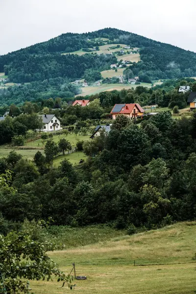 Önünde çayırlar olan ormanlık bir tepenin altındaki dağınık evlerin görüntüsü. Çevre turizmi, düşük etkili yaşam, kırsal sürdürülebilirlik, bölgesel kalkınma..