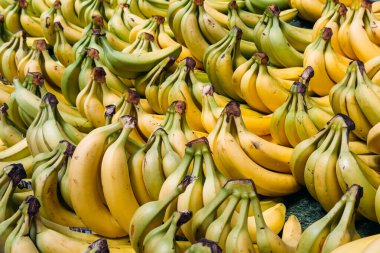 Düzinelerce olgunlaşmış ve yarı olgunlaşmış muz bir market vitrininde sergileniyor. Tarladan masaya, yerel üretim, sürdürülebilir tarım, bölgesel gıda sistemleri. Yüksek kalite fotoğraf