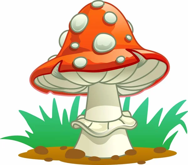 Amanita Isolierter Pilz Mit Roten Und Weißen Flecken — Stockvektor