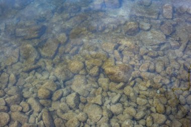 Yeşil yosun, Avrupa 'da bir nehir yatağının dibinde kayalar, taşlar ve çakıl taşlarıyla kaplıydı. Top view, gündüz, insan yok..