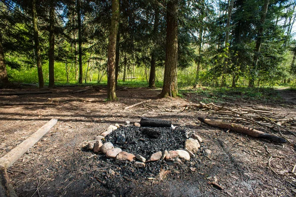 Carbón Extinguido Una Chimenea Forestal Bosque Europeo Día Soleado Sin — Foto de Stock