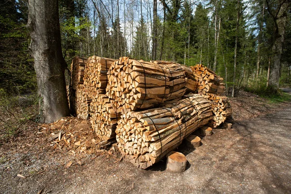 Большая Груда Срубленных Дров Веревки Лесу Европе Лесные Работы Широкоугольный — стоковое фото