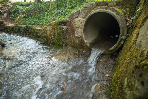 Small Water Stream Running Out Industrial Size Concrete Pipe Forest — Stock Photo, Image