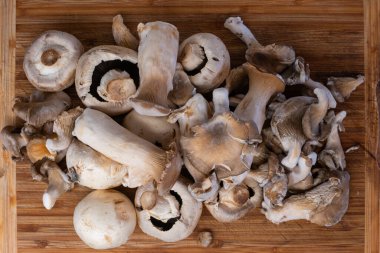 Tahta kesme tahtasındaki çiğ, taze mantarların çeşitliliği. Üst manzara, insan yok..