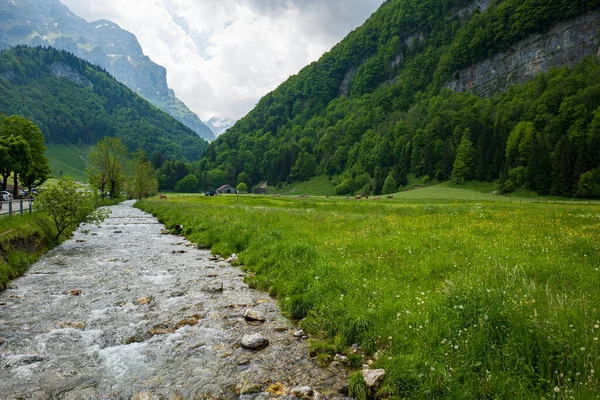 Rio Alpine Que Flui Através Vale Verde Ebenalp Região Appenzell — Fotografia de Stock