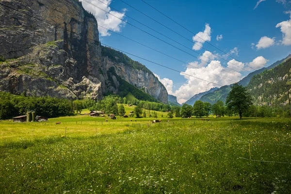 Scenic green valley and mountain range in the Lauterbrunnen region of Switzerland. Farm in the background, grazing cows, sunny summer day, no people.