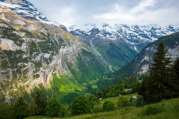 Bela Vista Pico Montanha Schwarzmonch Vale Verde Nos Alpes Suíços — Fotografia de Stock