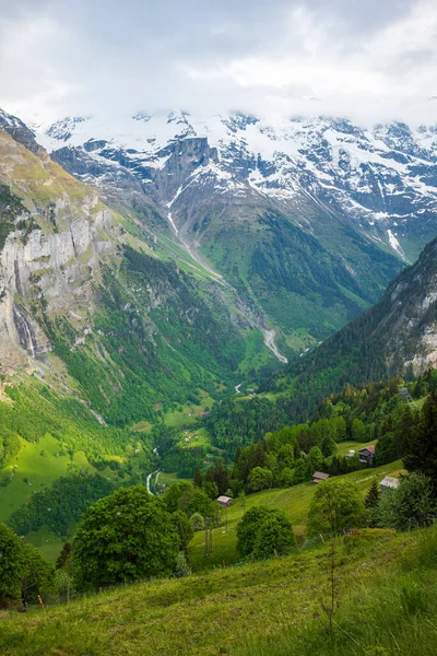 Belle Vue Sur Sommet Montagne Schwarzmonch Vallée Verdoyante Des Alpes — Photo