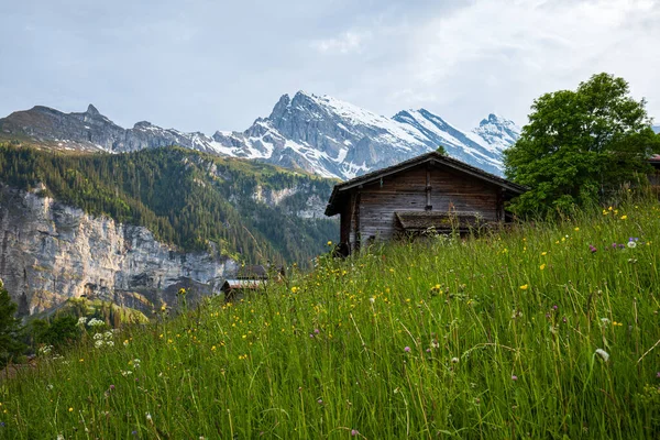 Barracão Cabine Madeira Nos Alpes Suíços Dia Verão Ensolarado Sem — Fotografia de Stock