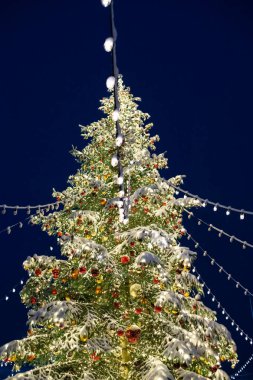 Avrupa 'nın bir şehrinde çok büyük dekore edilmiş ve aydınlatılmış bir Noel ağacı. Düşük açı gösterisi, akşam ışığı, insan yok.