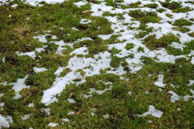 Yeşil bir arazi üzerinde eriyen kar, üst manzara, insan yok.