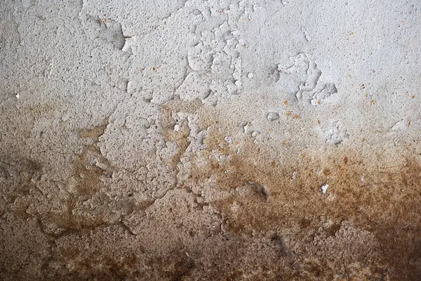 Kurumuş, solmuş, çatlamış ve duvar pantolonu soyulmuş. Yakın çekim, ön görüş, insan yok..