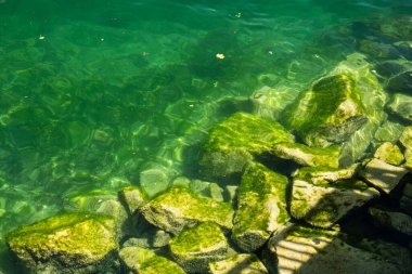 Gölün dibindeki kayaların üzerindeki yosun ya da yeşil yosun örtüsü. Yukarıdan aşağıya manzara, güneşli yaz günü, insan yok..