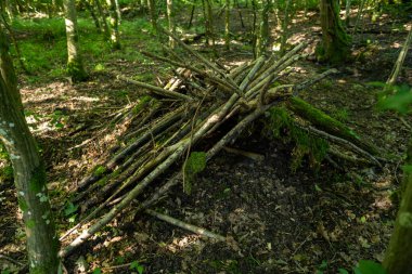 Avrupa 'da bir ormanda ağaç dalları, sopalar ve dallardan yapılmış küçük bir kulübe veya barınak. Yeşil yaz yaprakları örtülü, geniş açılı çekim, insan yok..