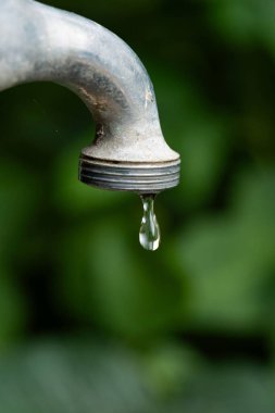 Paslı, içi su dolu eski bir su musluğu. Yakın çekim, sığ alan derinliği, yeşil bitki örtüsüne karşı, insan yok..