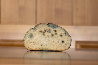 Bayat, şımarık ve küflü ekmek dilimi mutfak masasında. Yakın çekim, sığ alan derinliği, insan yok..