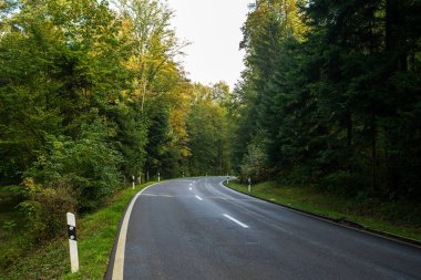 Boş, asfaltlı köy yolu bir ormanda kıvrılıyor. Geniş açılı çekim, bulutlu sonbahar günü, insan yok..