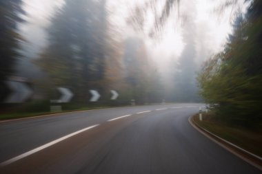 Avrupa 'daki bir ormandan geçen boş kırsal yol uzun süre bulanık sonbahar sabahına maruz kaldı. Geniş açı, sınırlı görüş mesafesi, kötü hava koşulları, insan yok.