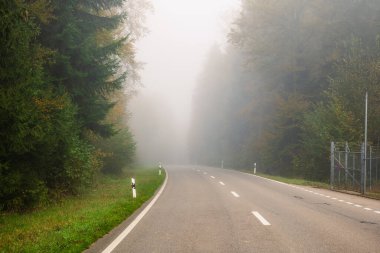 Tik güz sabahı sisi Avrupa 'daki bir ormandan geçen boş kırsal yolu kapladı. Geniş açı, sınırlı görüş mesafesi, kötü hava koşulları, insan yok..