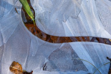 Ormanda donmuş su birikintisi. Sonbahar bitkilerinde donan sığ su, üst manzara, yakın çekim, insan yok..