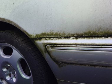 Eski, gri, terk edilmiş bir arabanın dış panellerinde küf ve pas var. Manzara kapalı, kimse yok..