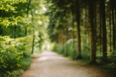 Ormanda bulanık ya da bulanık bir patika. Yeşil yemyeşil bitki örtüsü arka planı, görüntü bozulması, bokeh vurgusu, insan yok.