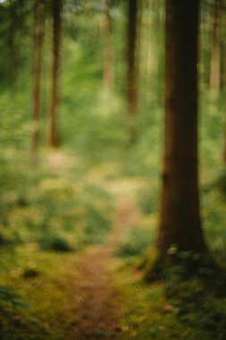 Ormanda bulanık ya da bulanık bir patika. Yeşil yemyeşil bitki örtüsü arka planı, görüntü bozulması, bokeh vurgusu, insan yok.