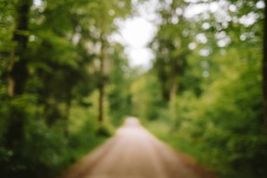 Ormanda bulanık ya da bulanık bir patika. Yeşil yemyeşil bitki örtüsü arka planı, görüntü bozulması, bokeh vurgusu, insan yok.