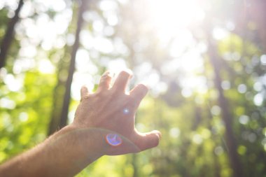 Beyaz erkek eli yukarı doğru uzanıyor açık el hareketi. Seçici odak, parlak orman doğası geçmişi, güneşli yaz günü, sığ alan derinliği, bokeh arka plan