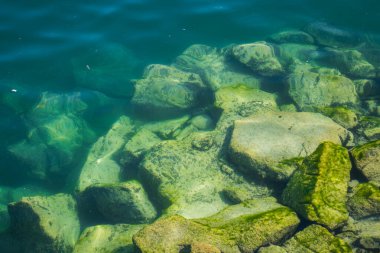 Gölün dibindeki kayaların üzerindeki yosun ya da yeşil yosun örtüsü. Yukarıdan aşağıya manzara, güneşli yaz günü, insan yok.