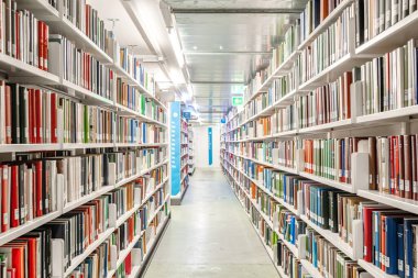 Kütüphanenin içindeki kitaplıklarda sıralanmış ya da organize edilmiş kitaplar. Geniş açı, azalan perspektif, sığ alan derinliği, bulanık arkaplan, insan yok