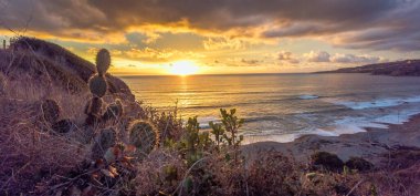 Rancho Palos Verdes 'in dingin güzelliğini keşfedin. Catalina Pail ve Sunset Patikası boyunca uzanan engebeli uçurumların Güney Kaliforniya' nın altın ve mavi saatleri altında dingin okyanus dalgalarıyla buluştuğu yerde..