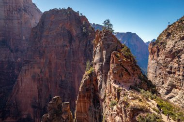Yürüyüşçüler, Zion Ulusal Parkı, Springdale, Utah 'ta popüler bir yürüyüş merkezi olan Angel' s Landing 'in zorlu kayalık yoluna yükseliyor..