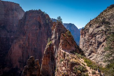 Yürüyüşçüler, Zion Ulusal Parkı, Springdale, Utah 'ta popüler bir yürüyüş merkezi olan Angel' s Landing 'in zorlu kayalık yoluna yükseliyor..