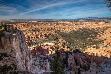 Bryce Kanyonu Milli Parkı 'nın büyüleyici güzelliğine tanık olun. Bryce Point' teki Rim Trail 'den. Serseriler, yemyeşil çam ormanlarından görkemli bir şekilde yükseliyorlar..