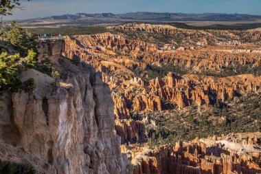 Bryce Kanyonu Milli Parkı 'nın büyüleyici güzelliğine tanık olun. Bryce Point' teki Rim Trail 'den. Serseriler, yemyeşil çam ormanlarından görkemli bir şekilde yükseliyorlar..